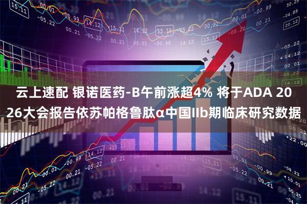 云上速配 银诺医药-B午前涨超4% 将于ADA 2026大会报告依苏帕格鲁肽α中国IIb期临床研究数据